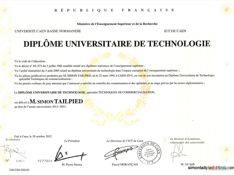 DUT Techniques de Commercialisation